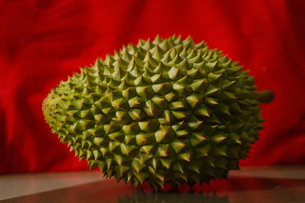 kapan anak boleh makan durian